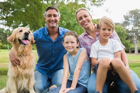 The Ultimate Guide to Dog Doors Thumbnail